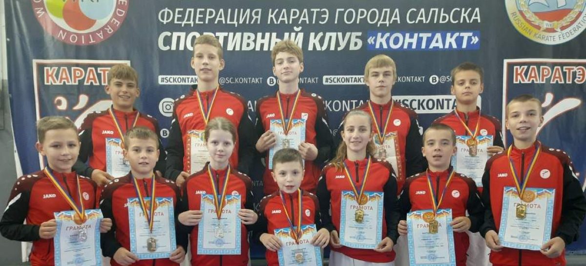 Сальчане поедут на Россию: в Ростове-на-Дону состоялось первенство Ростовской области по каратэ