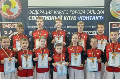 Сальчане поедут на Россию: в Ростове-на-Дону состоялось первенство Ростовской области по каратэ