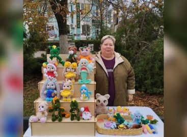 Котов Котофеевичей — на фронт, лошадок, мышек — детям к празднику: мастерица Виктория Подчиридниченко вяжет плюшевые игрушки