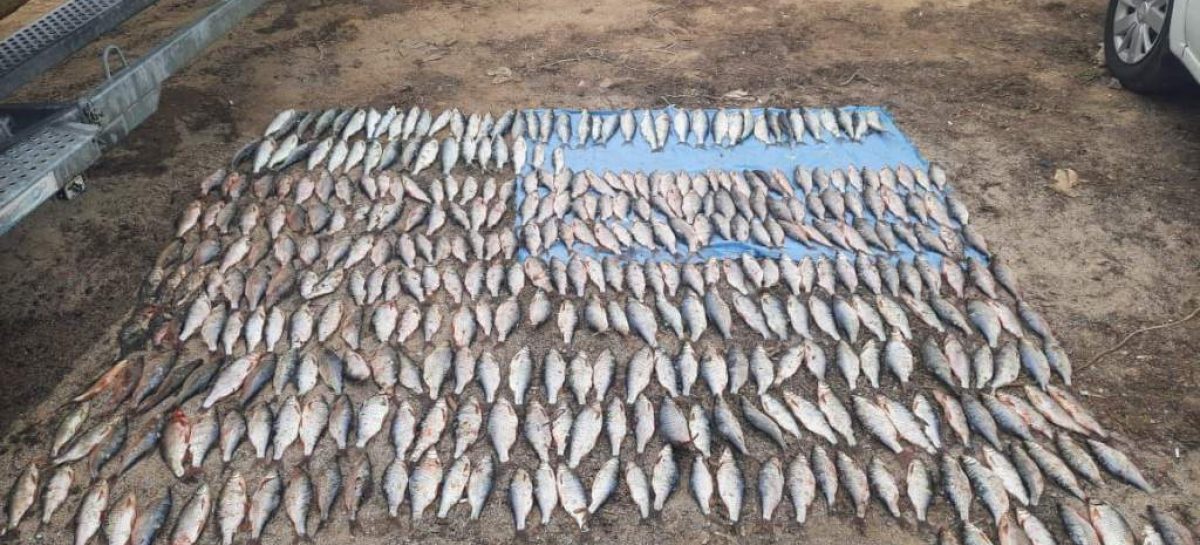 Группой дознания Сальского линейного отдела МВД России на транспорте возбуждено уголовное дело