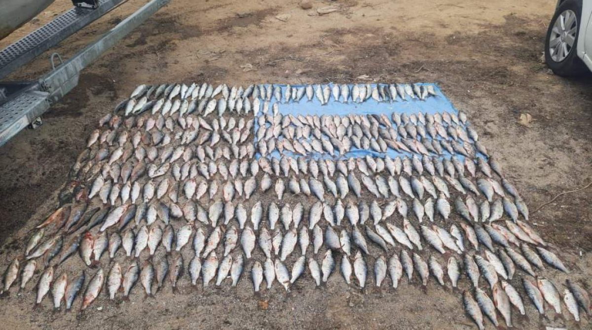 Группой дознания Сальского линейного отдела МВД России на транспорте возбуждено уголовное дело