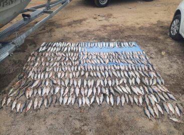 Группой дознания Сальского линейного отдела МВД России на транспорте возбуждено уголовное дело