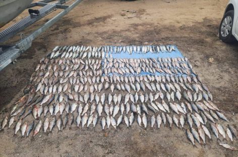 Группой дознания Сальского линейного отдела МВД России на транспорте возбуждено уголовное дело