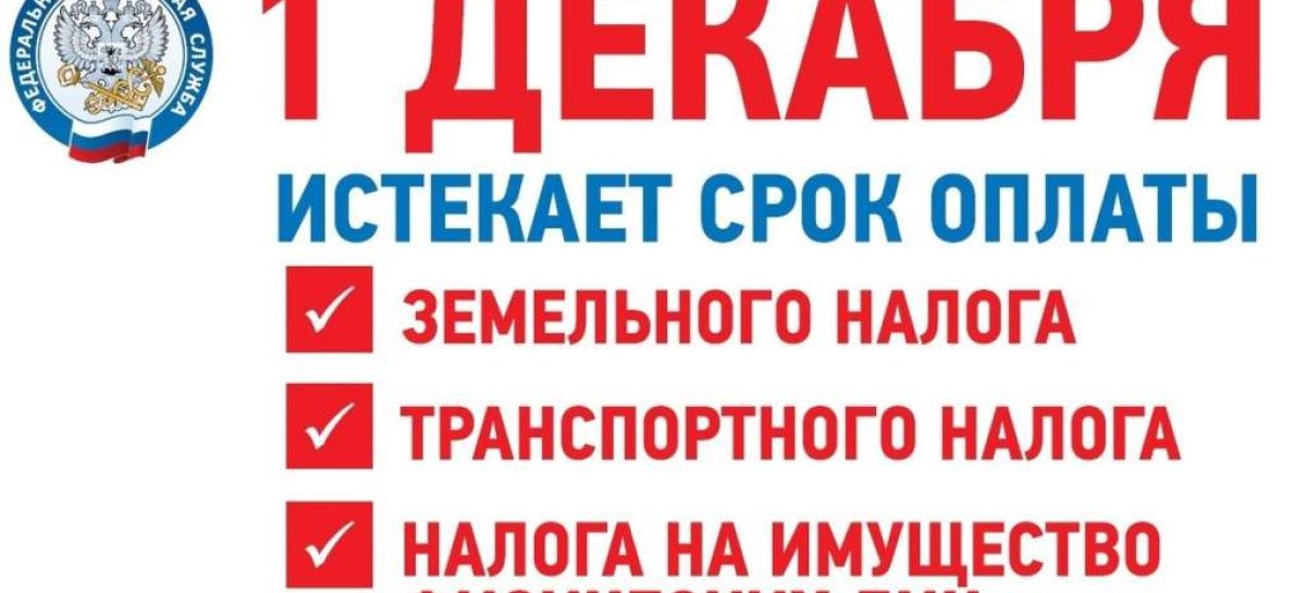 Жителям Сальского района напомнили, что до 1 декабря нужно   оплатить имущественные налоги