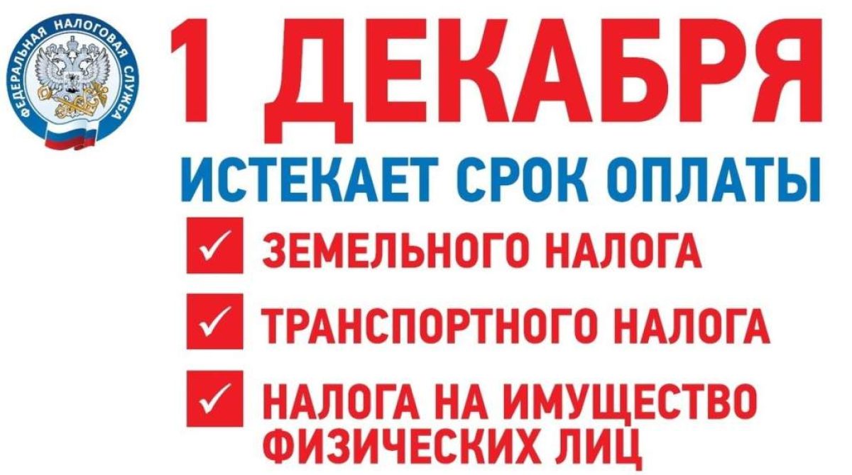 Жителям Сальского района напомнили, что до 1 декабря нужно   оплатить имущественные налоги