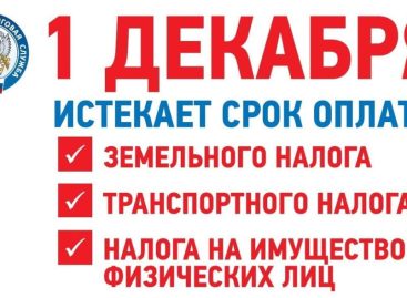 Жителям Сальского района напомнили, что до 1 декабря нужно   оплатить имущественные налоги