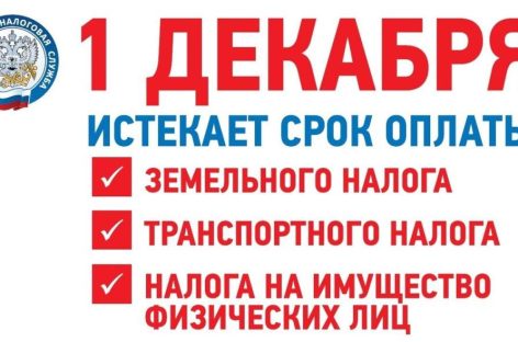 Жителям Сальского района напомнили, что до 1 декабря нужно   оплатить имущественные налоги