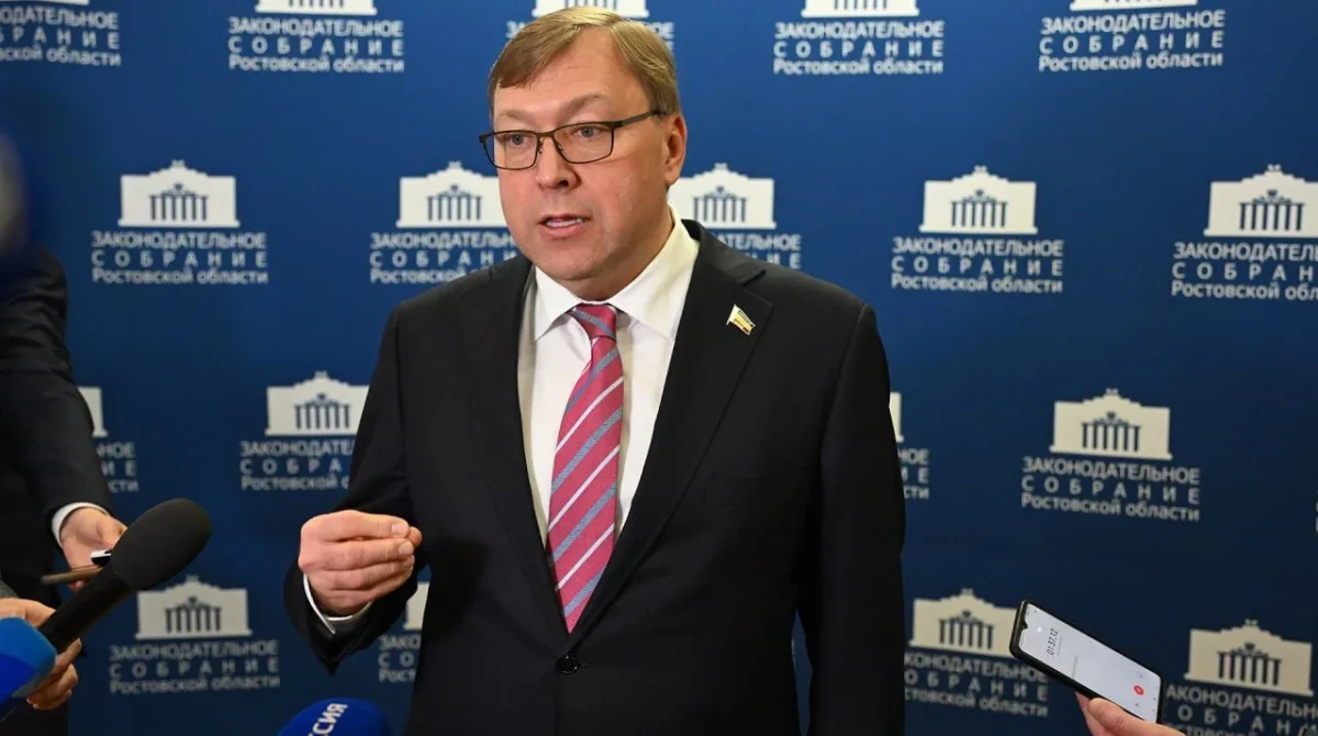 Депутаты «Единой России» обеспечили развитие системы соцподдержки многодетных семей на Дону