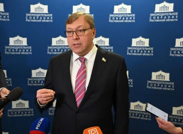 Депутаты «Единой России» обеспечили развитие системы соцподдержки многодетных семей на Дону