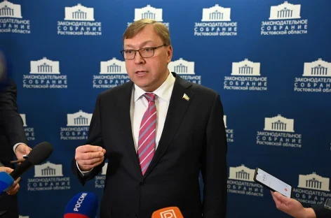 Депутаты «Единой России» обеспечили развитие системы соцподдержки многодетных семей на Дону