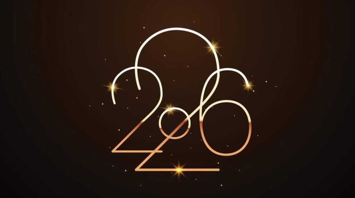 Новогоднее поздравление главы Сальского района Владимира Березовского