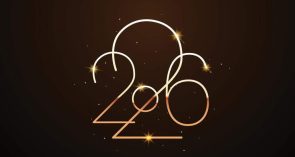 Новогоднее поздравление главы Сальского района Владимира Березовского