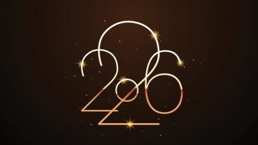 Новогоднее поздравление главы Сальского района Владимира Березовского