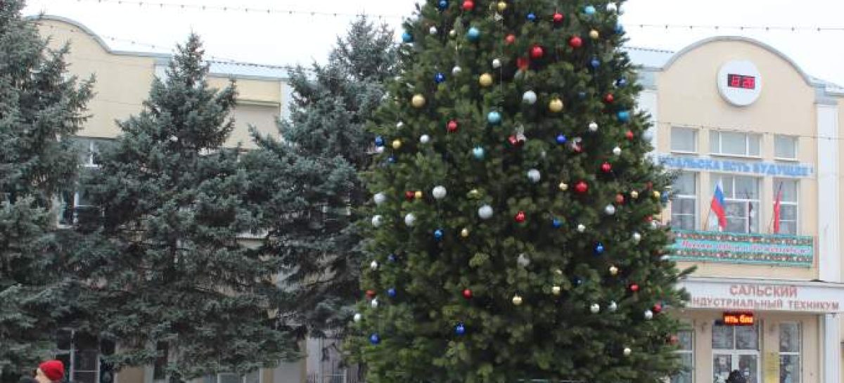 Сальчанам напомнили правила противопожарного наряда ёлки