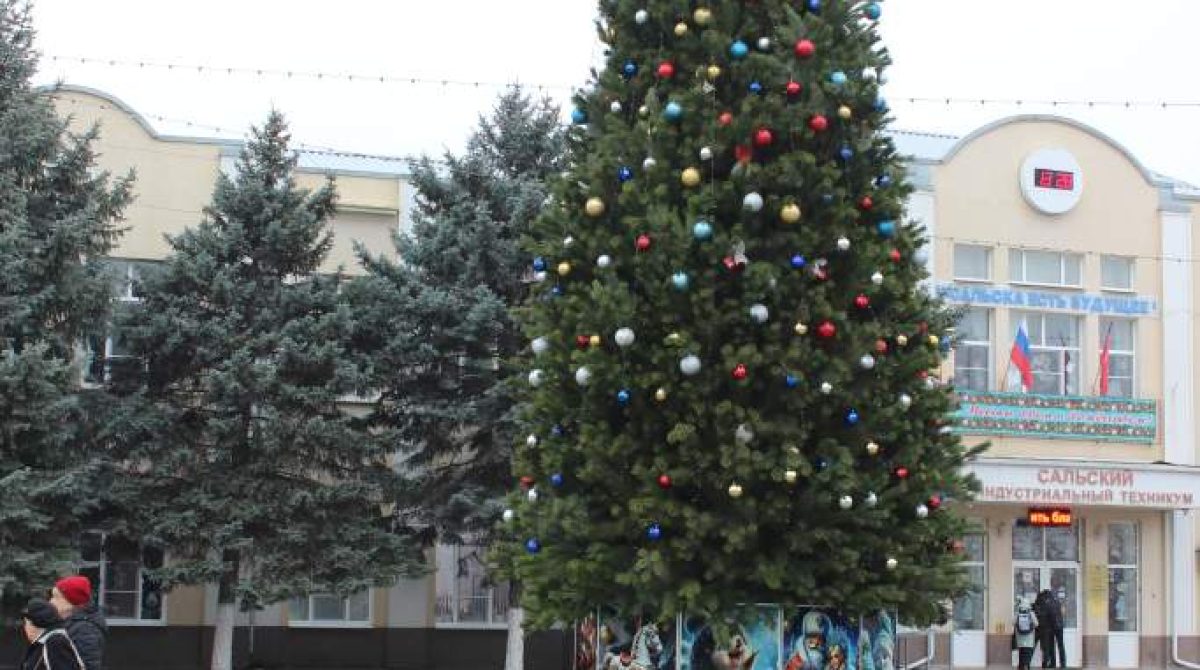 Сальчанам напомнили правила противопожарного наряда ёлки