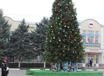 Сальчанам напомнили правила противопожарного наряда ёлки