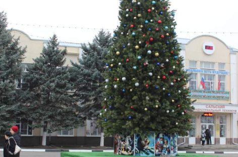 Сальчанам напомнили правила противопожарного наряда ёлки