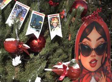 В ожидании праздника: выбираем елку, готовим подарки