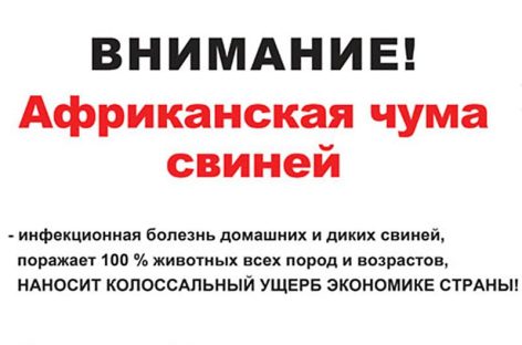 Жителям сёл Сальского района в очередной раз напомнили, что АЧС — опасная болезнь
