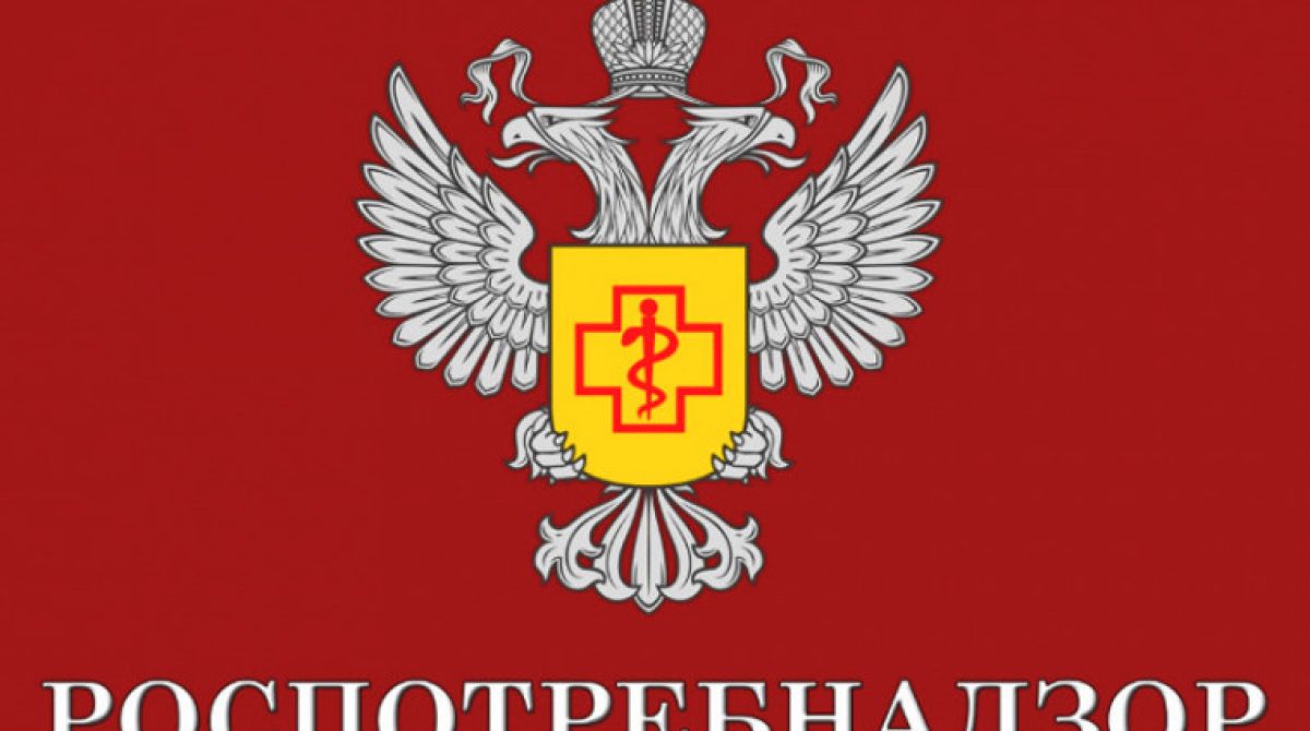 Рекомендации сальчанам, как в Новый год не навредить здоровью