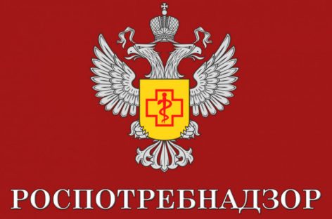 Рекомендации сальчанам, как в Новый год не навредить здоровью