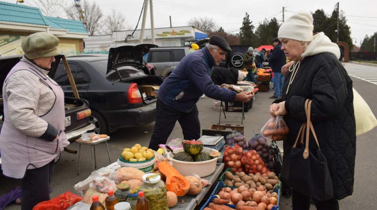 Ярмарка выходного дня в Сальске впервые прошла площадке у входа в городской парк на ул. Московской