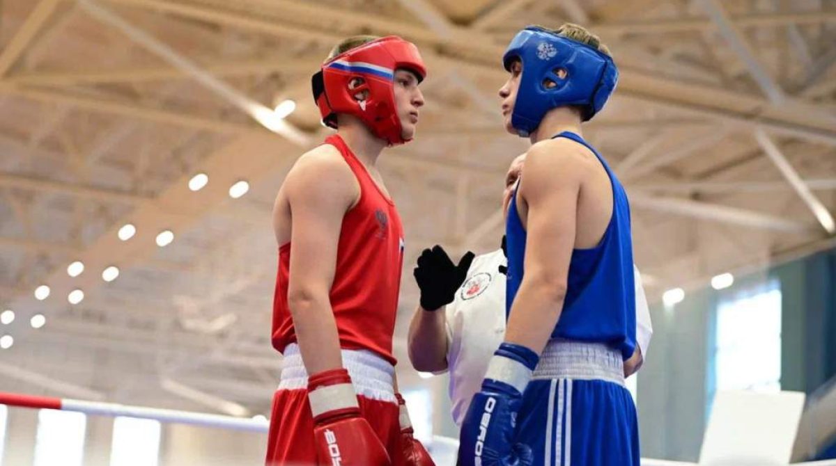 Удачный старт в Новом году: в активе сальских боксеров — 5 золотых и 2 серебряных медали на первенстве РО