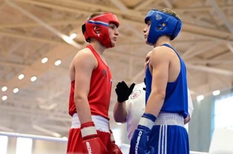 Удачный старт в Новом году: в активе сальских боксеров — 5 золотых и 2 серебряных медали на первенстве РО