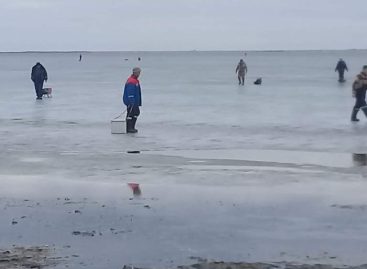 Жителям Сальского района напомнили, чем опасен некрепкий лёд