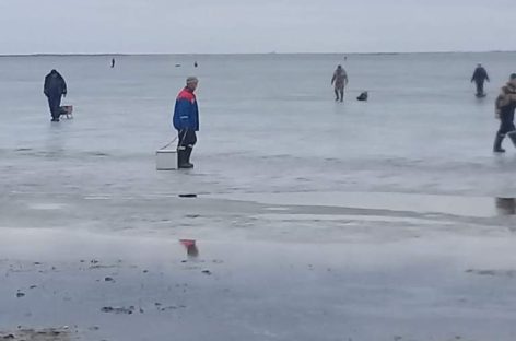 Жителям Сальского района напомнили, чем опасен некрепкий лёд