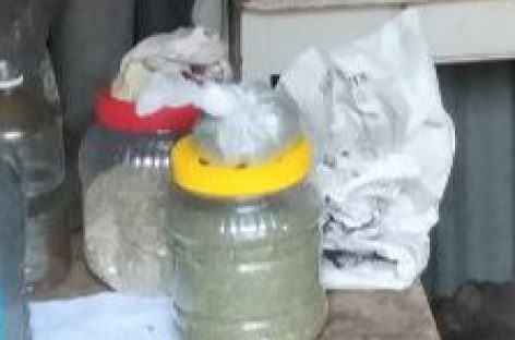 Транспортные полицейские в Сальске выявили местного жителя, хранящего наркотические вещества