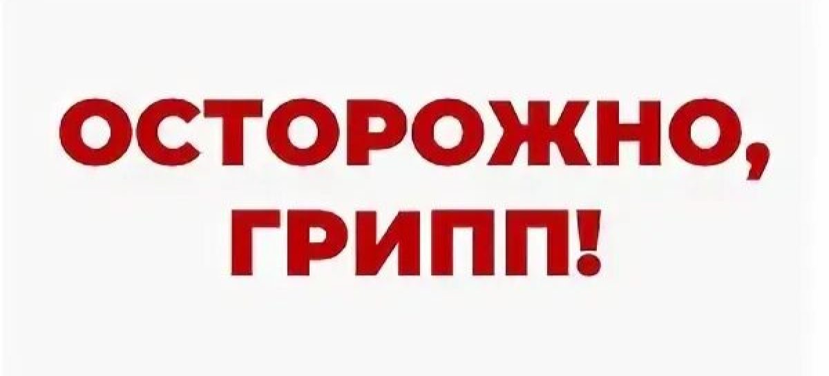 Сальчанам в очередной раз напомнили, что грипп опасен осложнениями