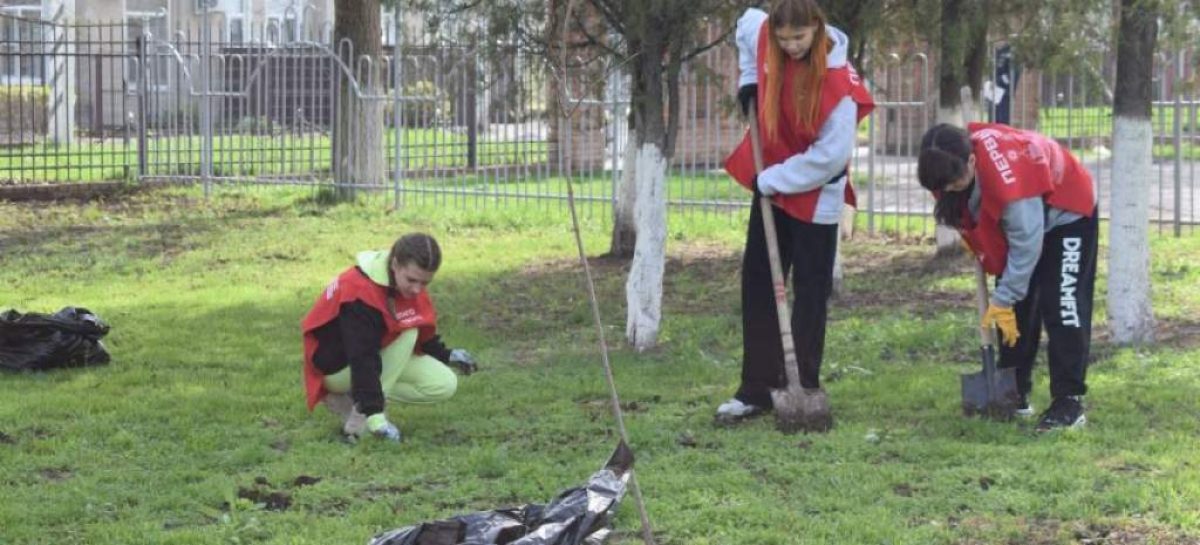 Сальск присоединился к весеннему месячнику чистоты, объявленному в Ростовской области