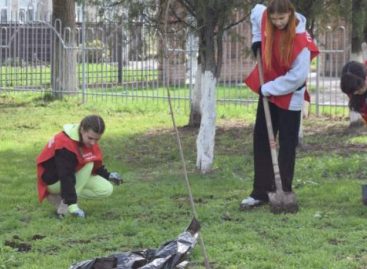 Сальск присоединился к весеннему месячнику чистоты, объявленному в Ростовской области