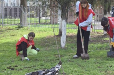 Сальск присоединился к весеннему месячнику чистоты, объявленному в Ростовской области