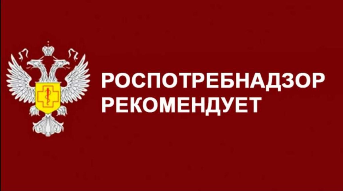Жителям Сальского района давали советы, как защитить свои права
