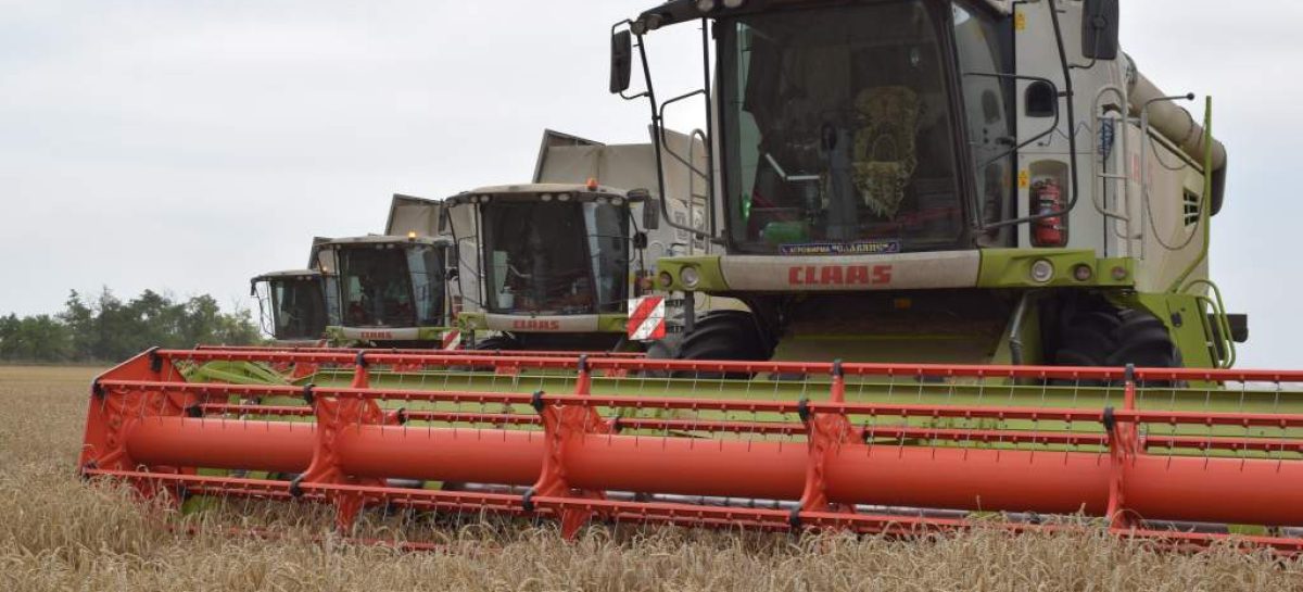 Россия существенно наращивает экспорт своих сельхозтоваров и укрепляет свои позиции незаменимого поставщика