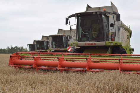 Россия существенно наращивает экспорт своих сельхозтоваров и укрепляет свои позиции незаменимого поставщика