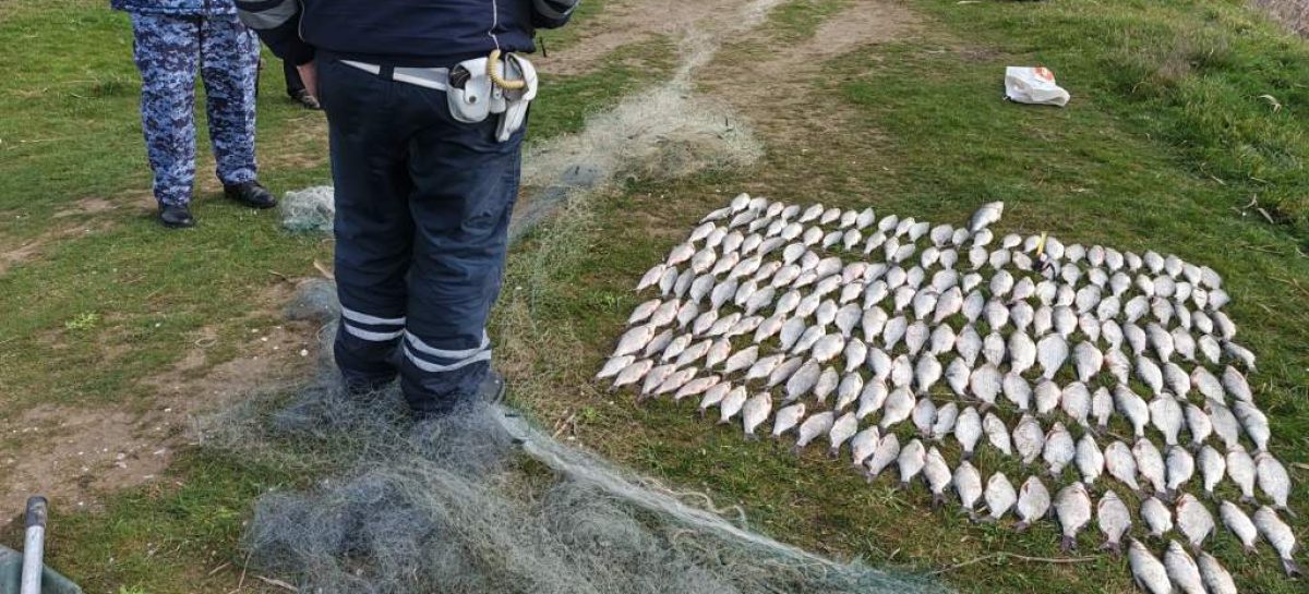 На Веселовском водохранилище пресечена незаконная добыча водных биоресурсов