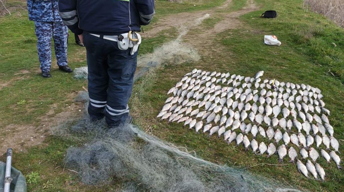 На Веселовском водохранилище пресечена незаконная добыча водных биоресурсов