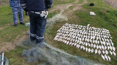 На Веселовском водохранилище пресечена незаконная добыча водных биоресурсов
