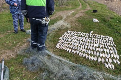 На Веселовском водохранилище пресечена незаконная добыча водных биоресурсов