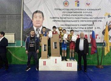 Сальские борцы завоевали медали на ковре в Калмыкии