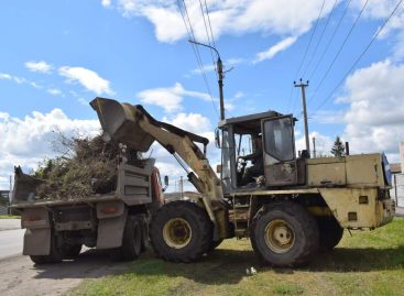 В Сальске заканчивается месячник чистоты и продолжаются весенние субботники