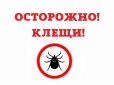Жителей Сальского района в очередной раз предупредили об опасности укусов клещей