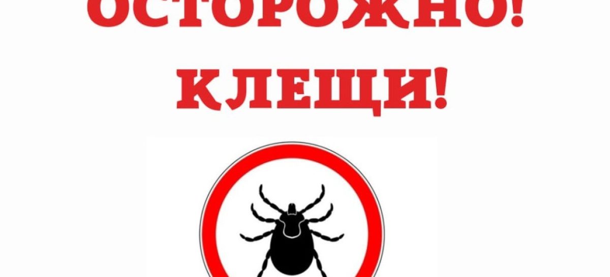 Жителей Сальского района в очередной раз предупредили об опасности укусов клещей