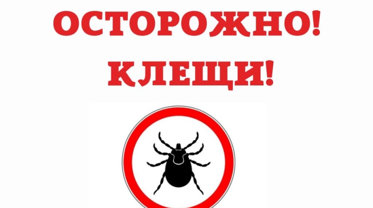 Жителей Сальского района в очередной раз предупредили об опасности укусов клещей