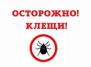 Жителей Сальского района в очередной раз предупредили об опасности укусов клещей