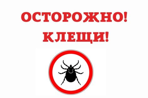 Жителей Сальского района в очередной раз предупредили об опасности укусов клещей