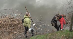 Трудятся взрослые и дети: месячник чистоты проходит в Сальске